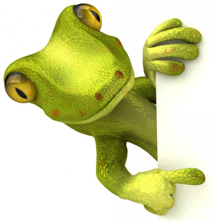 ICH BINN JECKKO THADE,N-